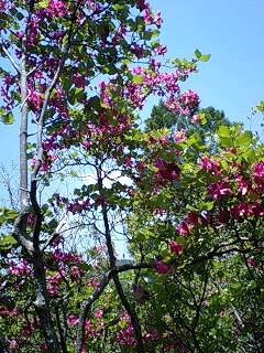 f0210439_1811140.jpg