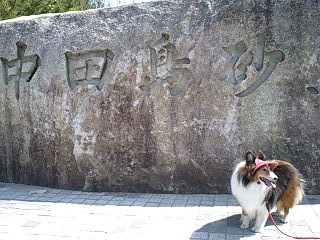 f0210439_18184849.jpg