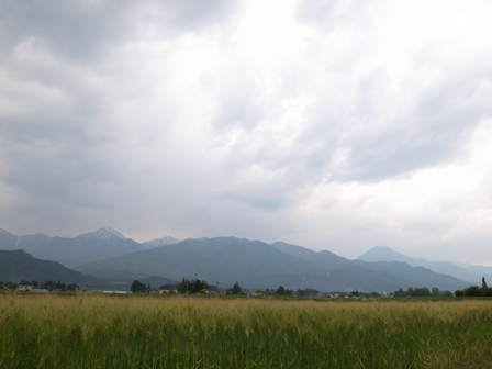 a0014840_1434817.jpg