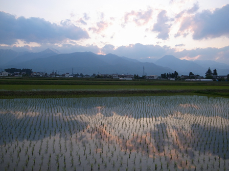 ５月の陽が延びて_a0014840_22304027.jpg