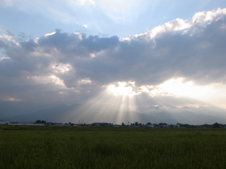 a0014840_2285592.jpg