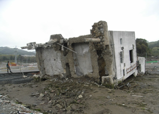 d0080547_1741225.png