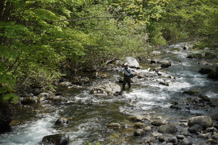 中部山岳の渓で。。。_c0197578_21261259.jpg