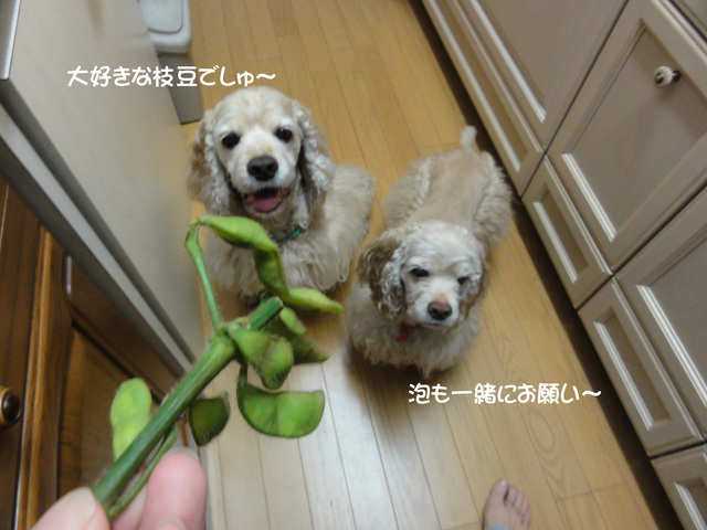 f0218182_1615980.jpg