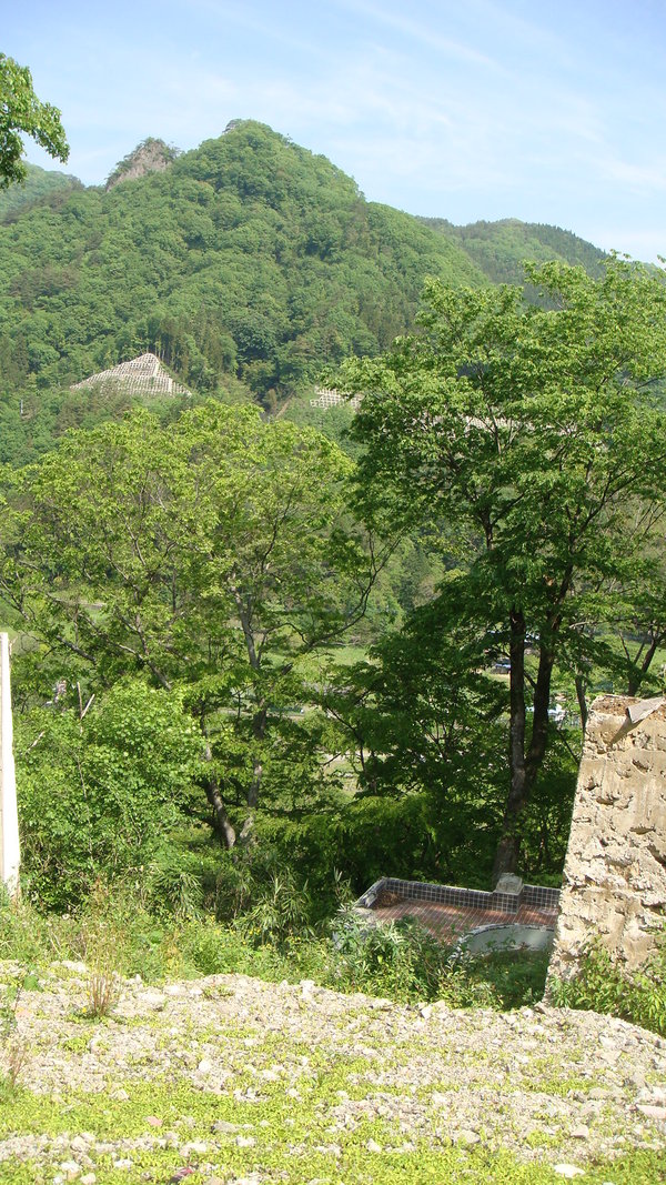 a0247884_22493284.jpg