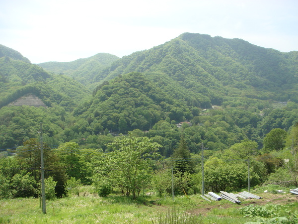 a0247884_22593797.jpg