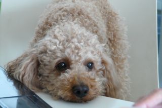 2012年5月28日 もうすぐ。。。_b0098584_1632209.jpg