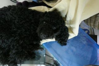 2012年5月28日 もうすぐ。。。_b0098584_16324676.jpg