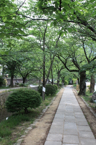 哲学の道～銀閣寺　朝のひとり散歩_b0207284_485960.jpg