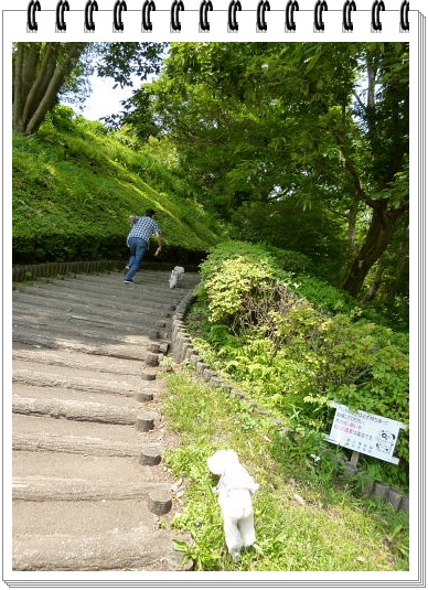 土曜日の飲み会＆今日の岩本山公園_b0104592_1873041.jpg