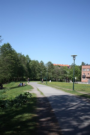 d0182292_8102476.jpg