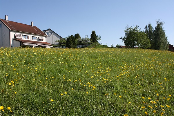 d0182292_8121394.jpg