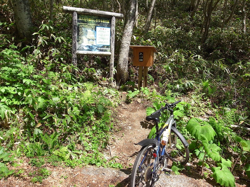  5月27日、マウンテンバイクで紋別岳-その後-_f0138096_13473914.jpg