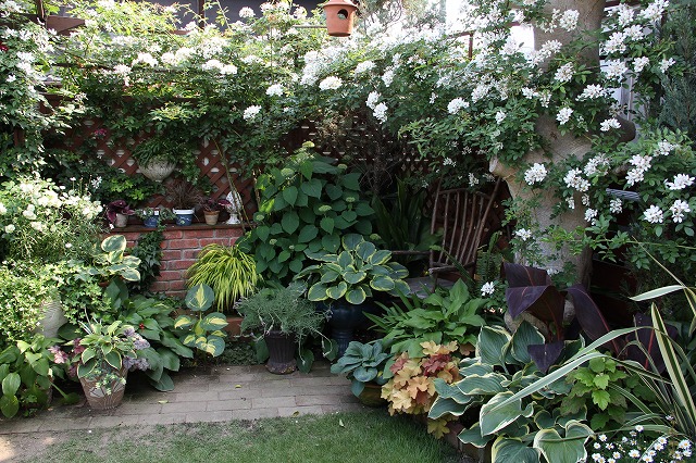 素敵な空間♪ 庭を楽しむSoleilさんのお庭 : miyorinの秘密のお庭