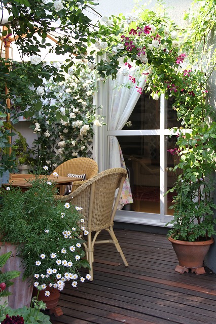 a0123003_92264.jpg