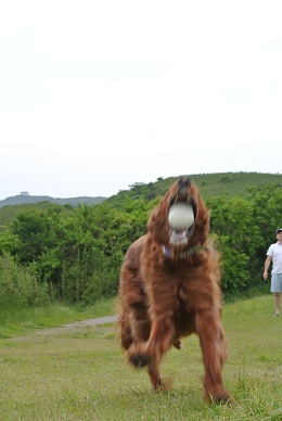 放浪の旅　５月２６日　　いいとこ見つけたぁぁ～！！_a0134004_151718100.jpg