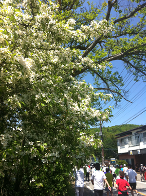 d0000304_2011181.jpg