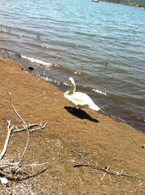 d0000304_201321.jpg