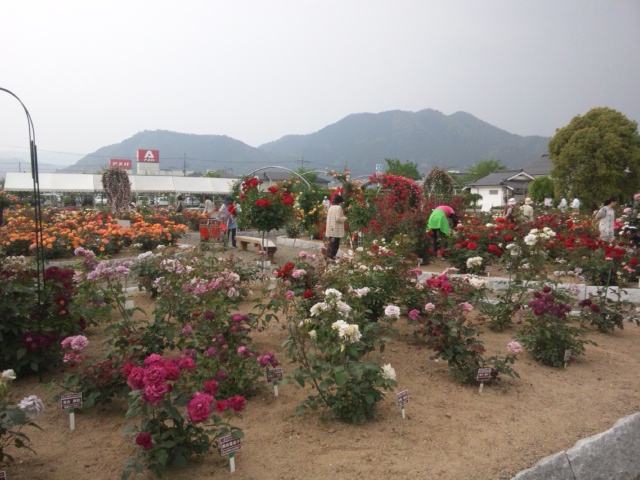 e0252905_12194854.jpg