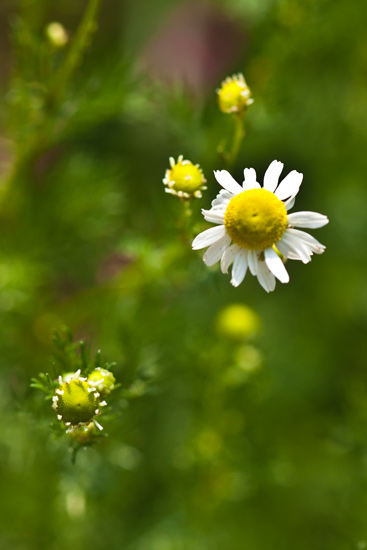 d0036708_19564066.jpg