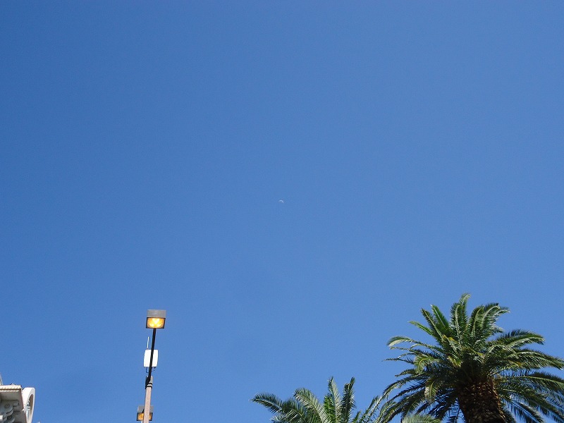 e0181908_1113349.jpg