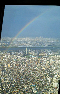 b0178212_99812.jpg