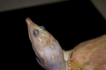 e0254814_26231.jpg