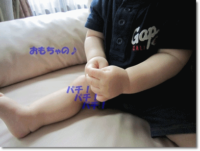 b0167519_9114996.gif