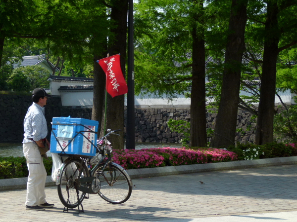 2012年5月28日　昨日久しぶりの都心（北の丸公園界隈）は夏日でした　in Tokyo_d0129921_12483899.jpg