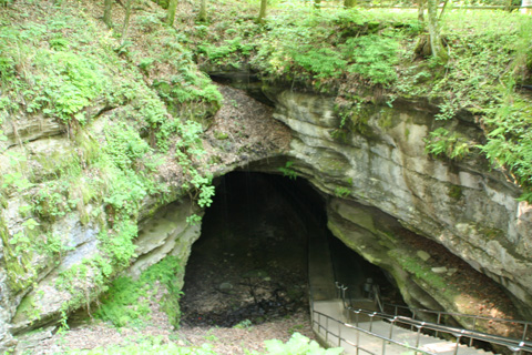 Mammoth Cave National Park America S National Parks アメリカの国立公園を訪ねて