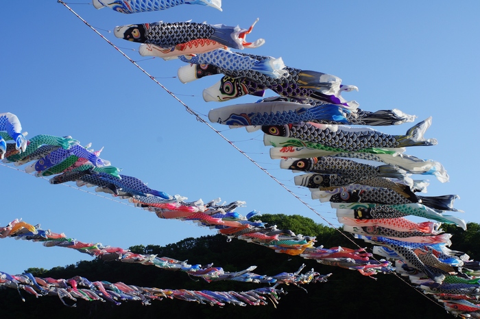 ２０１２年 高田橋の鯉のぼり ５月５日に娘達とみて来ました 画像山盛りでスミマセン 料理と趣味の部屋