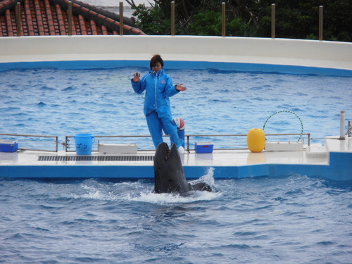 ガチマヤー沖縄 お魚天国 Katz 村 ガチマヤー沖縄 お魚天国 Katz 村