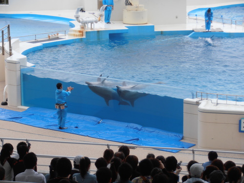 ガチマヤー沖縄 お魚天国 Katz 村 ガチマヤー沖縄 お魚天国 Katz 村