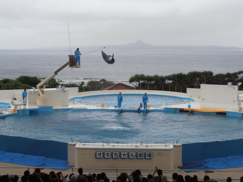 ガチマヤー沖縄 お魚天国 Katz 村 ガチマヤー沖縄 お魚天国 Katz 村