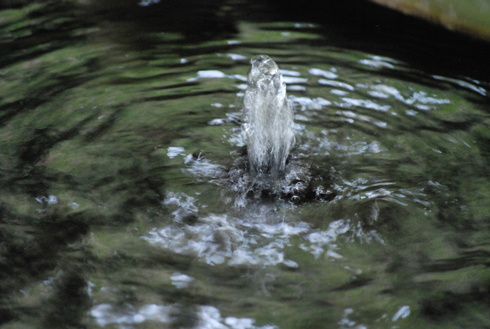 花仙庵　仙仁温泉　岩の湯　｛湯・仙人風呂｝_e0202231_22384912.jpg