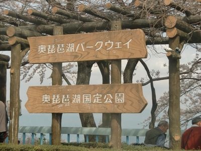 海津大崎[琵琶湖)へ4月16日_f0040734_23312291.jpg