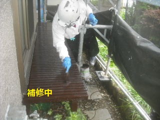 塗装工事11.5日目_f0031037_18295832.jpg