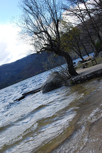 e0120938_1892260.jpg