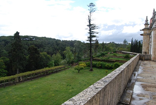 e0120938_85325.jpg