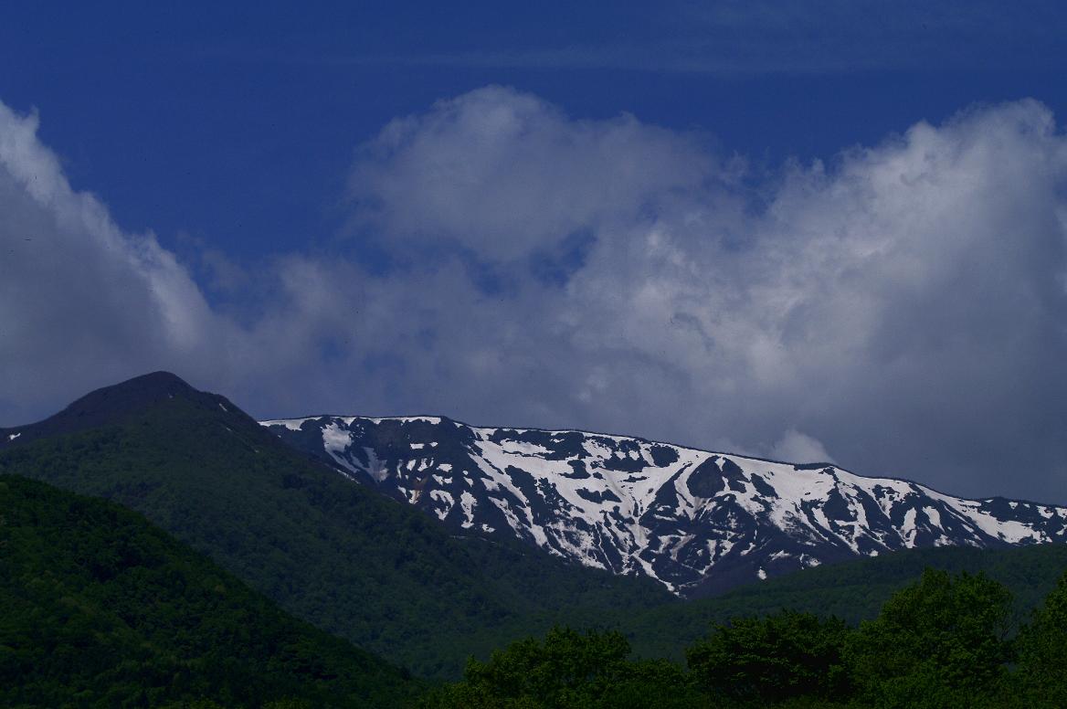 d0237340_20393218.jpg