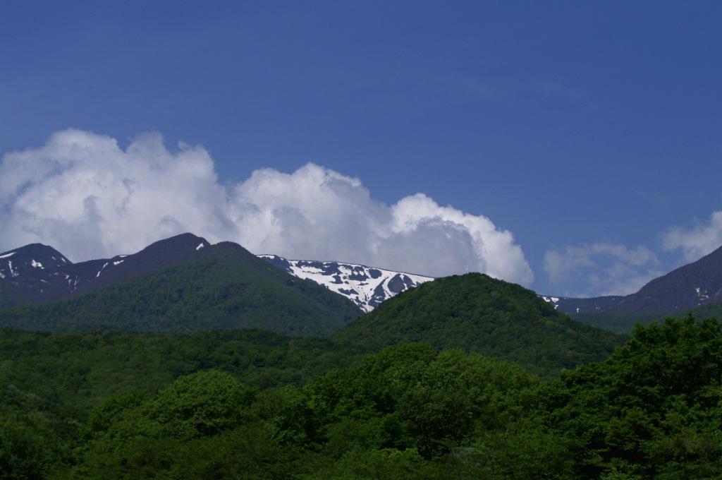 d0237340_20425528.jpg