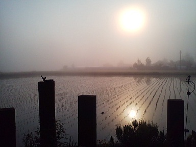a0272241_833762.jpg
