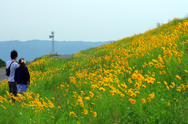 d0186245_151454.jpg