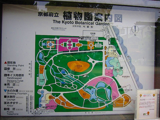e0237645_17382876.jpg