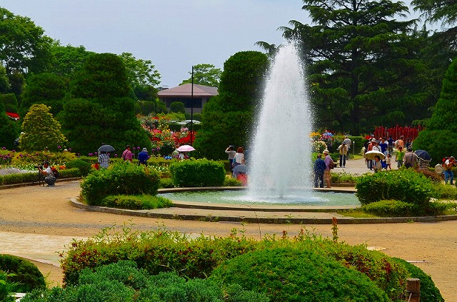 e0237645_17454311.jpg