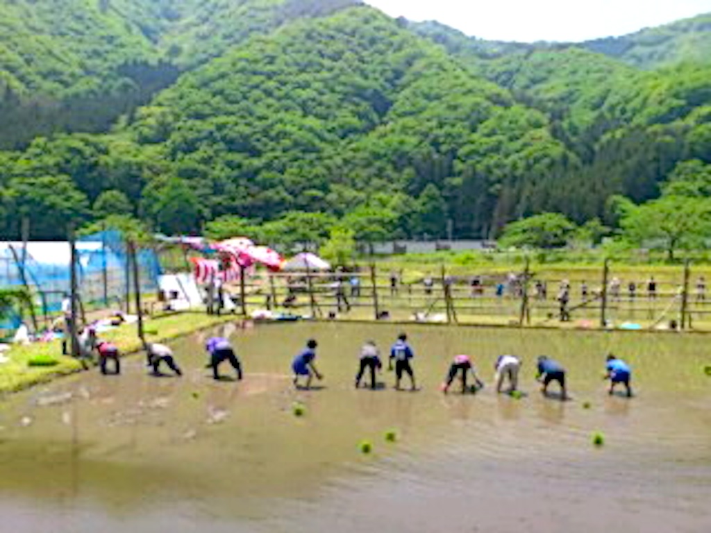 「海沿い便り」その６…「酒米田植え体験会」_a0103650_23515144.jpg