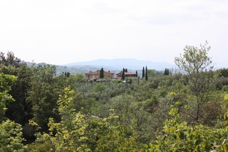 a0166650_2329771.jpg