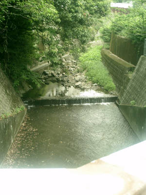 e0033751_19265742.jpg