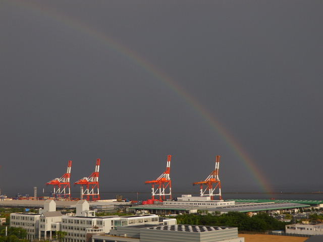 シモツケ、大島桜、オリーブ、ハマヒルガオ、MAERSK SAIGON、虹_a0030958_23361231.jpg