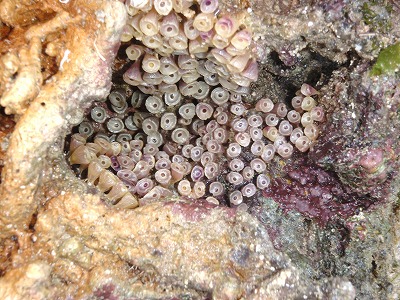 c0180460_46108.jpg